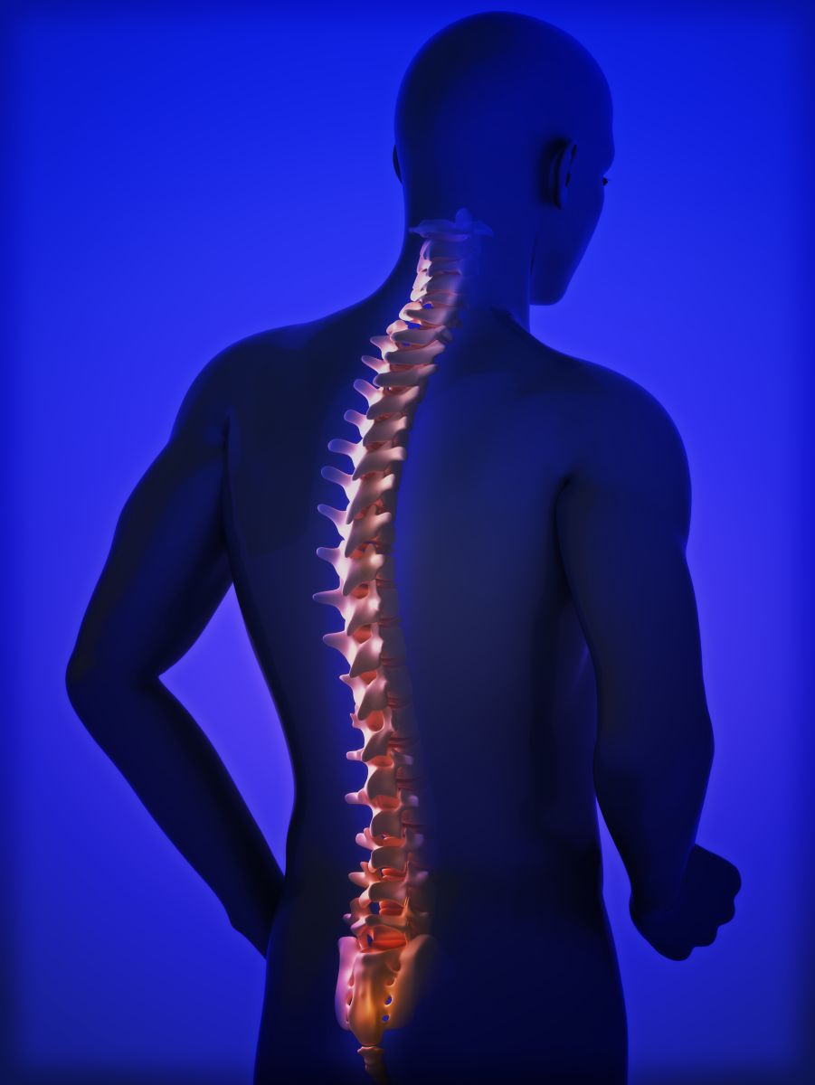 Chiropractic Care